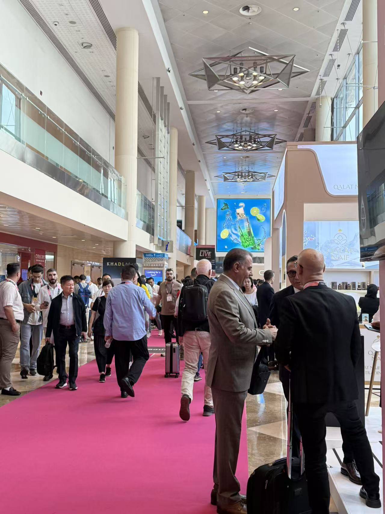 凯发k8官网登录vip入口2026年阿联